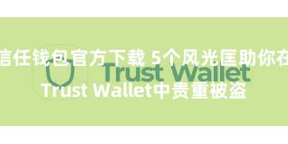 信任钱包官方下载 5个风光匡助你在Trust Wallet中贵重被盗