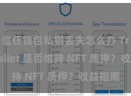 信任钱包私钥丢失怎么办 Trust Wallet 是否维持 NFT 质押？收益指南