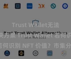 Trust Wallet无法下载解决方案 Trust Wallet 若何识别 NFT 价值？市集分析指南